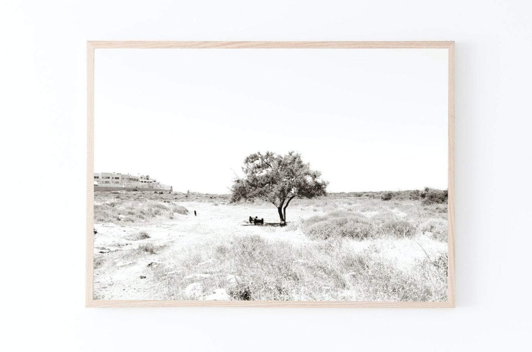תמונת קיר אופקית של עץ בשדה בשחור לבן, פרינט להדפסה