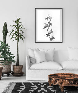 Black and white leaves print, printable wall art digital download - prints-actually