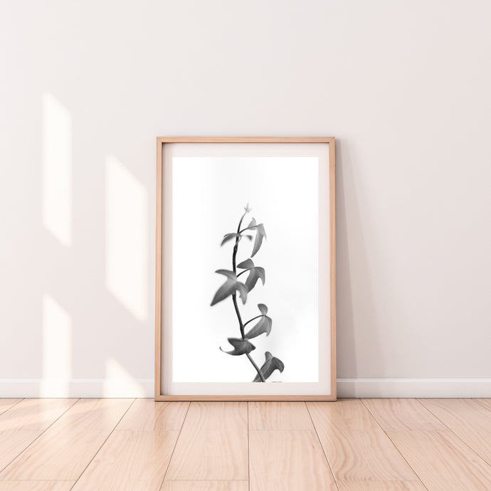 Black and white leaves print, printable wall art digital download - prints-actually