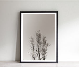 Bare tree print, printable wall art, sepia landscape nature photography - prints-actually