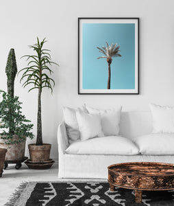 Blue skies palm tree print, printable wall art, Tel Aviv Israel landscape - prints-actually
