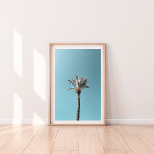 Blue skies palm tree print, printable wall art, Tel Aviv Israel landscape - prints-actually
