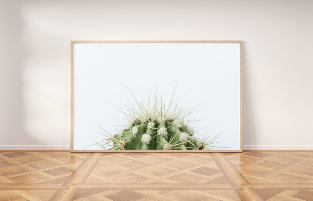 Green Cactus print, printable wall art, succulent wall decor, botanical digital prints - prints-actually
