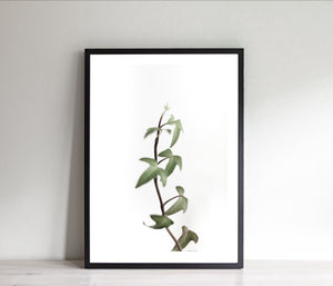 Green leaves print, printable wall art, white background - prints-actually