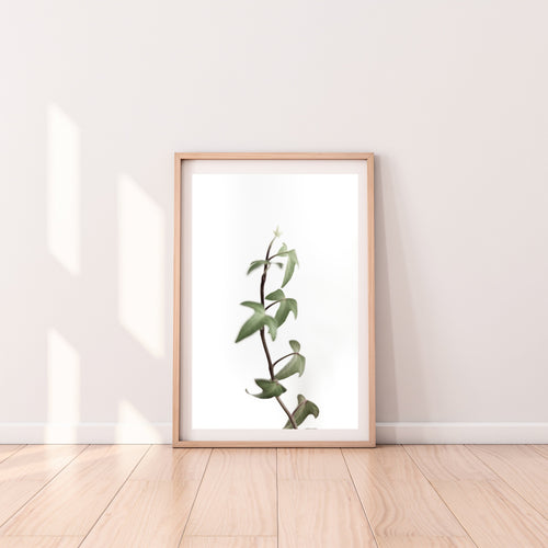 Green leaves print, printable wall art, white background - prints-actually