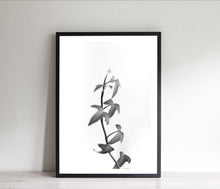 Load image into Gallery viewer, Black and white leaves print, printable wall art digital download - prints-actually