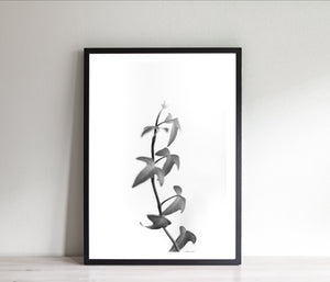 Black and white leaves print, printable wall art digital download - prints-actually