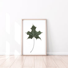 Load image into Gallery viewer, Leaf Print, green Leaf, Platanus Wall Art, Botanical decor, printable wall art - prints-actually