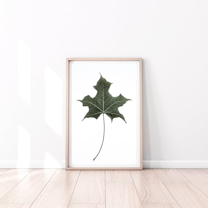 Leaf Print, green Leaf, Platanus Wall Art, Botanical decor, printable wall art - prints-actually