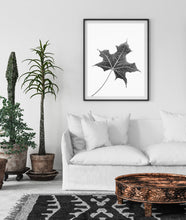 Load image into Gallery viewer, Leaf Print, black and white Leaf, plant wall art, tropical Print - prints-actually