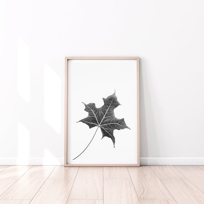 Leaf Print, black and white Leaf, plant wall art, tropical Print - prints-actually