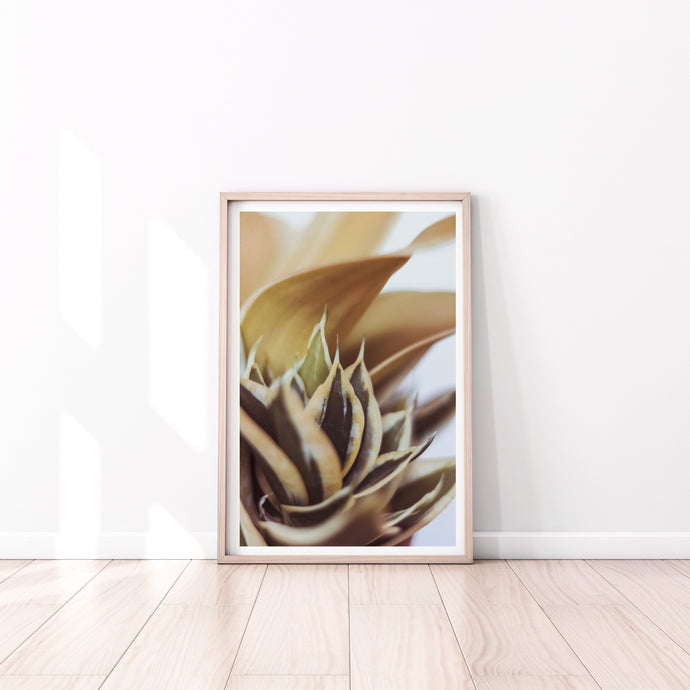 Snake Plant Print, Warm Green Brown Leaves, Tropical Wall Art - prints-actually
