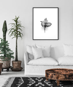 Hibiscus flower Print, black and white flower, plant wall art, tropical print - prints-actually
