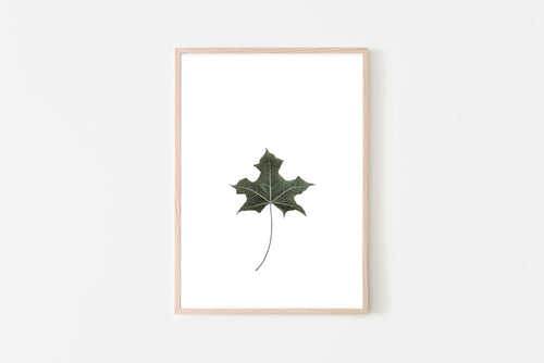 Green leaf print, greenery wall art, gift, tropical print, printable wall art - prints-actually