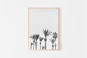Palm trees print, printable wall art, Tel Aviv Israel landscape - prints-actually