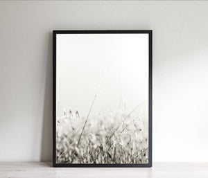 Nature print, printable black and white photography, minimalist modern decor - prints-actually
