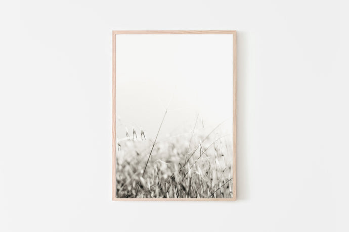 Nature print, printable black and white photography, minimalist modern decor - prints-actually
