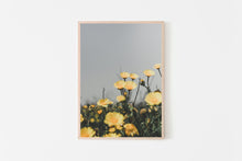 Load image into Gallery viewer, Flowers Print, yellow daisies, printable wall art, nature Poster - prints-actually