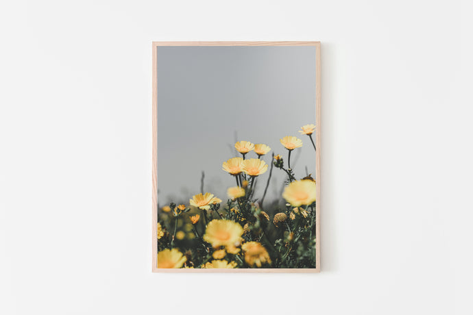 Flowers Print, yellow daisies, printable wall art, nature Poster - prints-actually