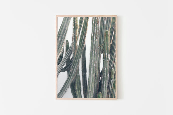 Cactus print, Printable wall art, living room decor, digital prints - prints-actually