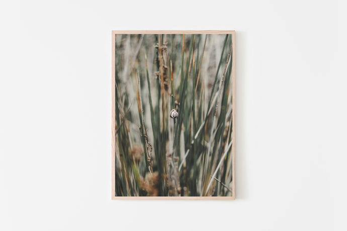 Snail on Stalk Print, Printable Wall Art, Digital Prints, Boho, Slug - prints-actually