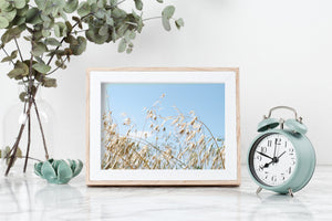 Nature landscape print, printable, blue sky field of gold photography, horizontal - prints-actually