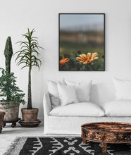 Load image into Gallery viewer, Daisies print, printable wall art, orange flowers, tropical print - prints-actually