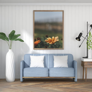 Daisies print, printable wall art, orange flowers, tropical print - prints-actually