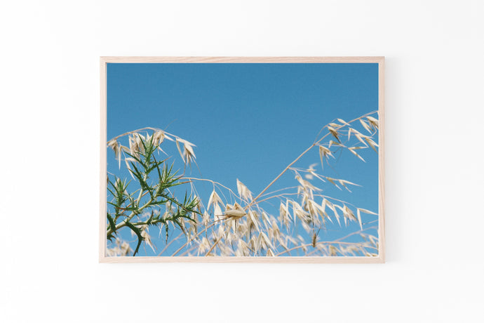 Blue sky print, printable wall art, landscape prints, golden leaves - prints-actually