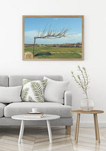 Load image into Gallery viewer, Naked tree print, blue sky, printable wall art, Tel Aviv Israel landscape - prints-actually