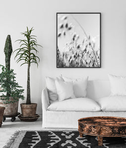 Black and white print, nature poster, digital prints, minimalist wall decor - prints-actually