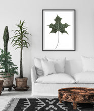 Load image into Gallery viewer, Leaf Print, green Leaf, Platanus Wall Art, Botanical decor, printable wall art - prints-actually