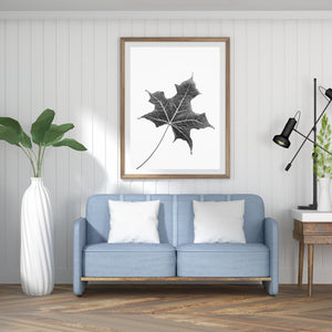 Leaf Print, black and white Leaf, plant wall art, tropical Print - prints-actually