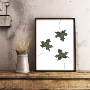 Leaves Print, three green leaves Wall Art, tropical print 8x10 digital print - prints-actually