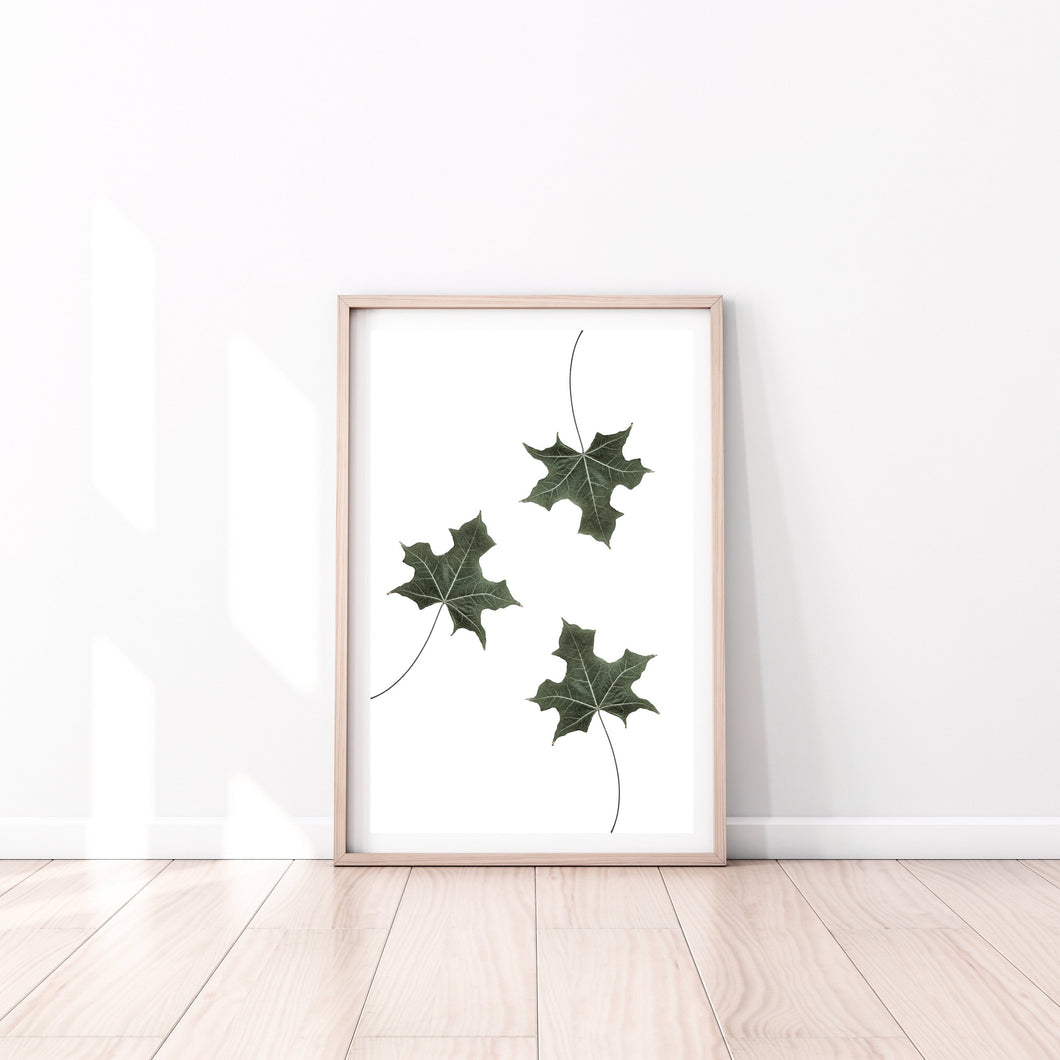 Leaves Print, three green leaves Wall Art, tropical print 8x10 digital print - prints-actually