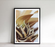 Load image into Gallery viewer, Snake Plant Print, Warm Green Brown Leaves, Tropical Wall Art - prints-actually