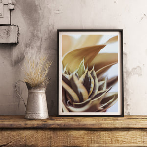 Snake Plant Print, Warm Green Brown Leaves, Tropical Wall Art - prints-actually