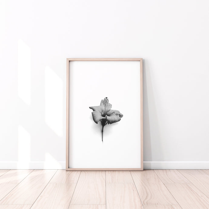Hibiscus flower Print, black and white flower, plant wall art, tropical print - prints-actually