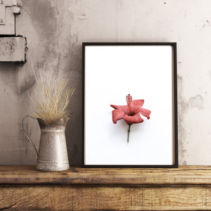 Hibiscus Print, red flower, red wall art, gift, tropical print, botanical decor - prints-actually