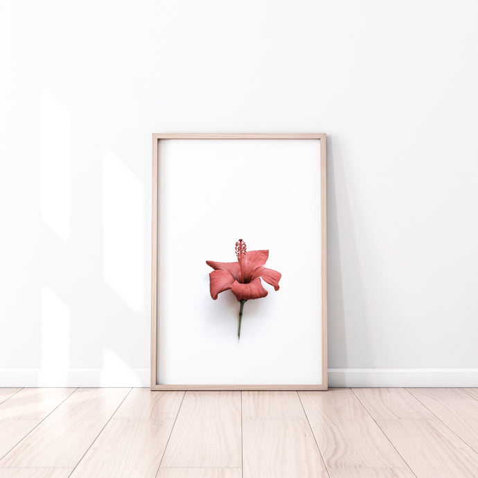 Hibiscus Print, red flower, red wall art, gift, tropical print, botanical decor - prints-actually