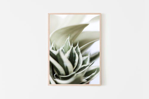 Snake plant Print, dark green leaves botanical decor, printable wall art - prints-actually