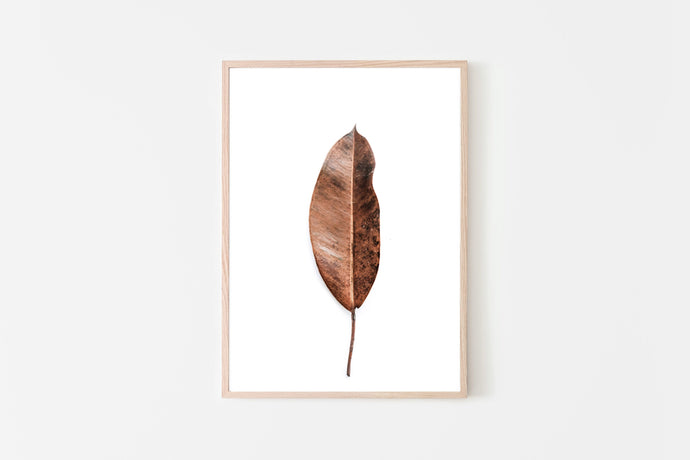 Brown leaf print, plants wall art, printable - prints-actually