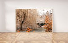 Load image into Gallery viewer, Willow tree print, printable wall art, Spain photography, digital prints - prints-actually