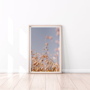 Nature print, printable wall art, fields of gold poster, digital prints photography - prints-actually