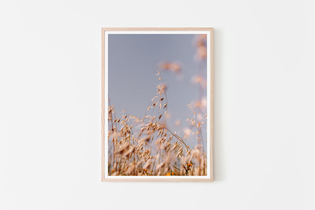 Nature print, printable wall art, fields of gold poster, digital prints photography - prints-actually