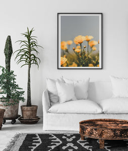 Flowers Print, orange daisies, tropical print, printable wall art, nature Poster - prints-actually