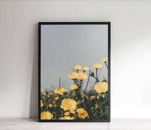 Flowers Print, yellow daisies, printable wall art, nature Poster - prints-actually