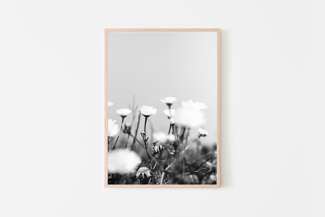 Flowers Print, black and white daisies, tropical print, printable wall art - prints-actually