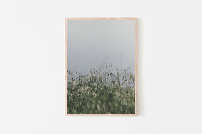 Nature print, printable wall art, green field poster, botanical print - prints-actually