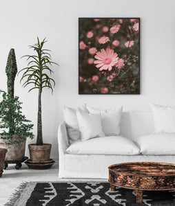 Pink flowers print, printable wall art, daisies, tropical print - prints-actually